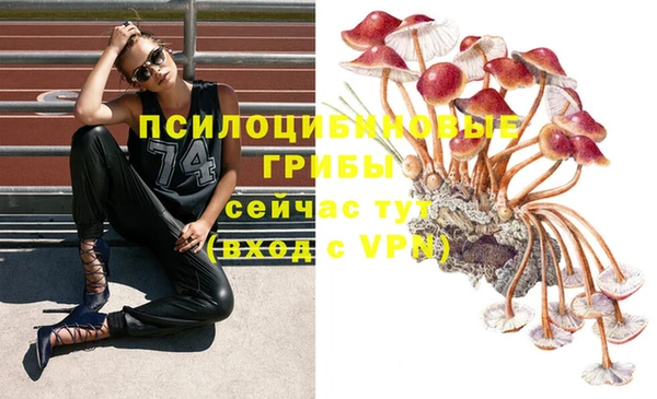 прущий лед Аркадак