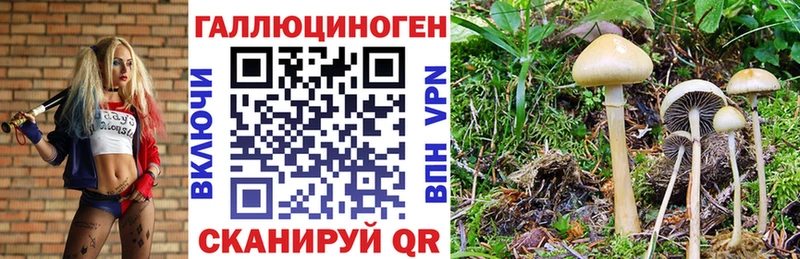 Галлюциногенные грибы мицелий  Ростов 